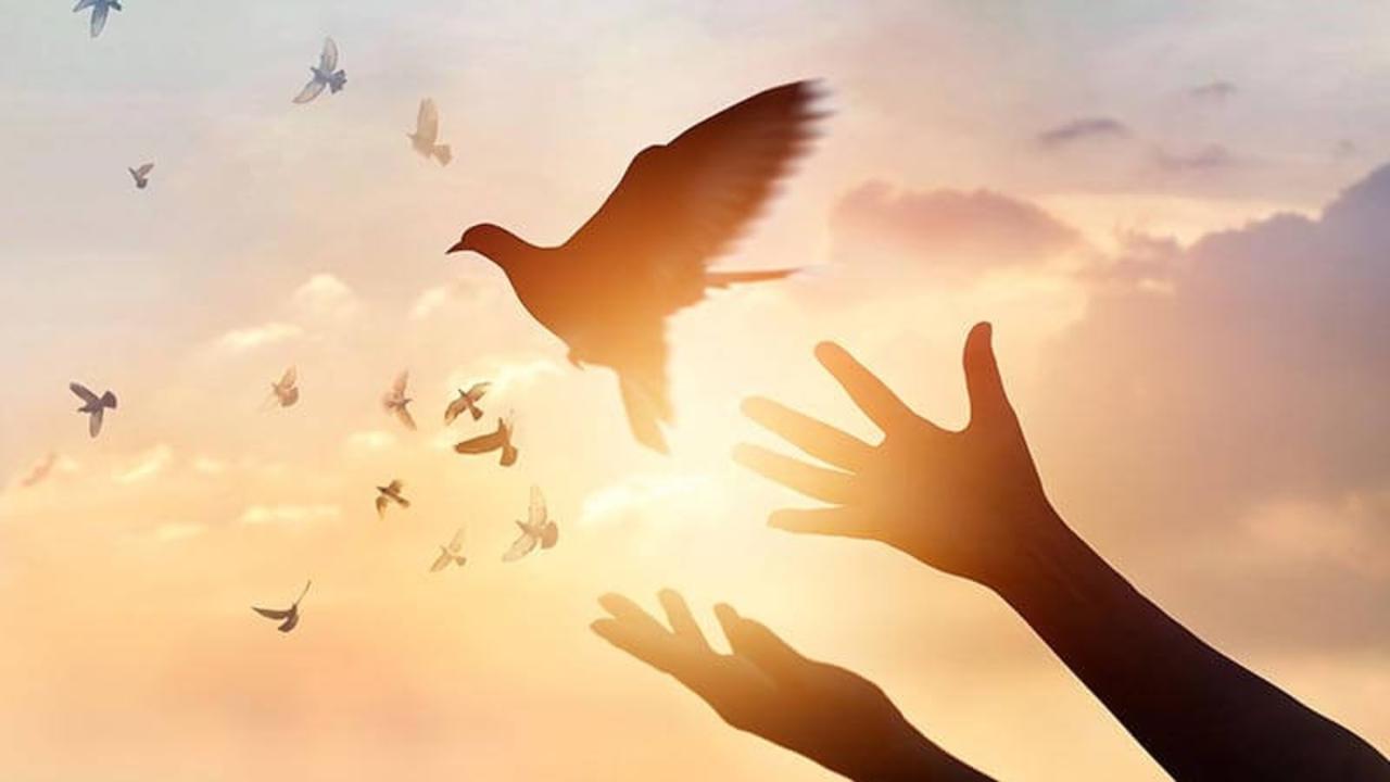 RqTHjK2TlGQvaxhcsVbJ_Spiritual_Care_Services_Lee_Health