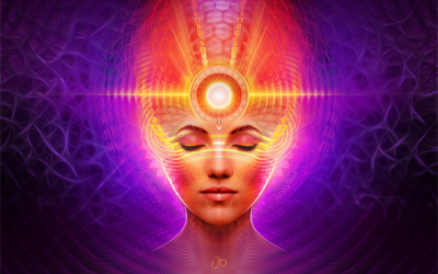 The Pineal Gland – Some Thoughts