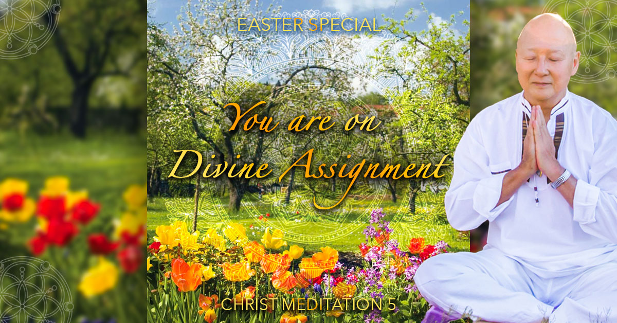 what is a divine assignment