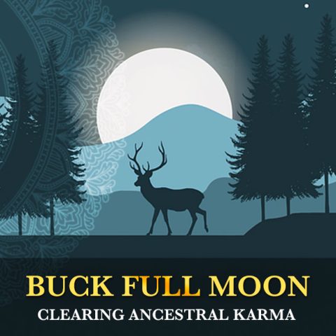 Buck Full Moon - Clearing Ancestral Karma - Kenji Kumara